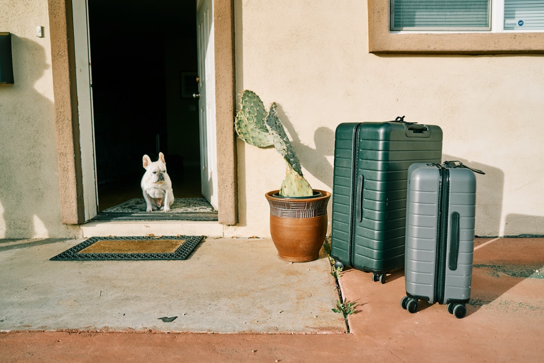 How to Choose the Best Luggage for Your Adventures How to Choose the Best Luggage for Your Adventures