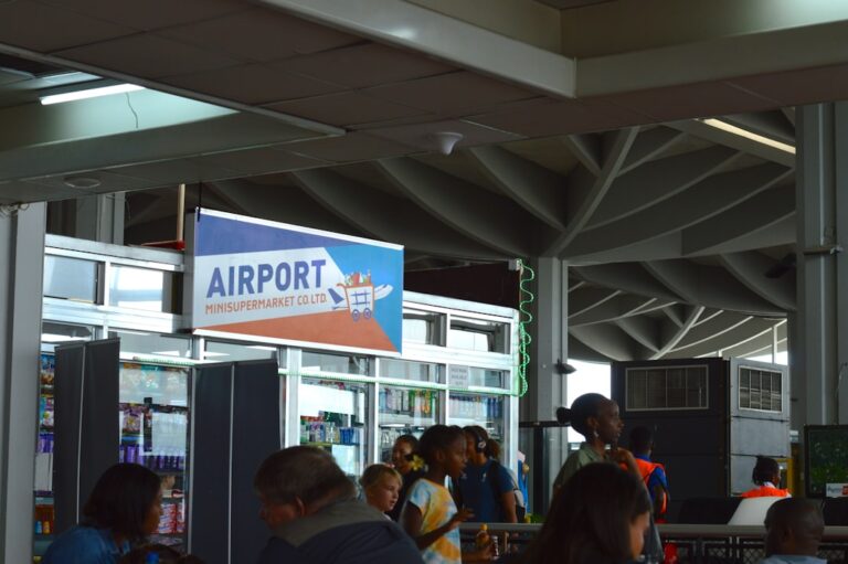 Must-Have Items for Your Next International Journey
